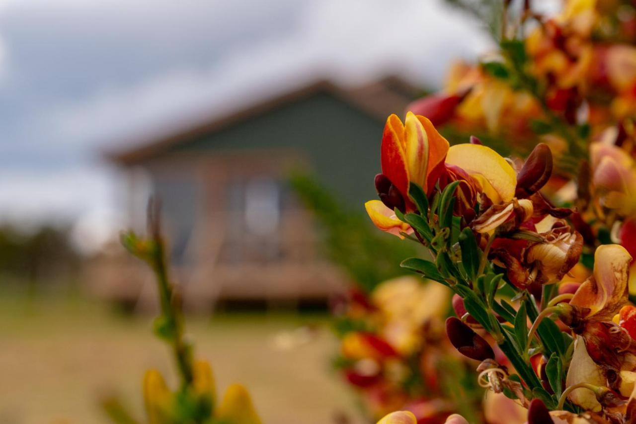 Garden Domes Puerto Natales Exterior foto