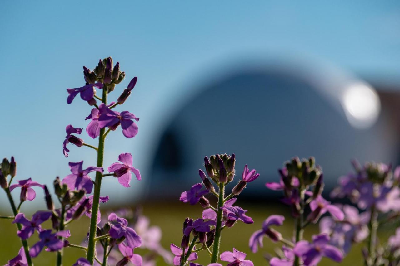 Garden Domes Puerto Natales Exterior foto