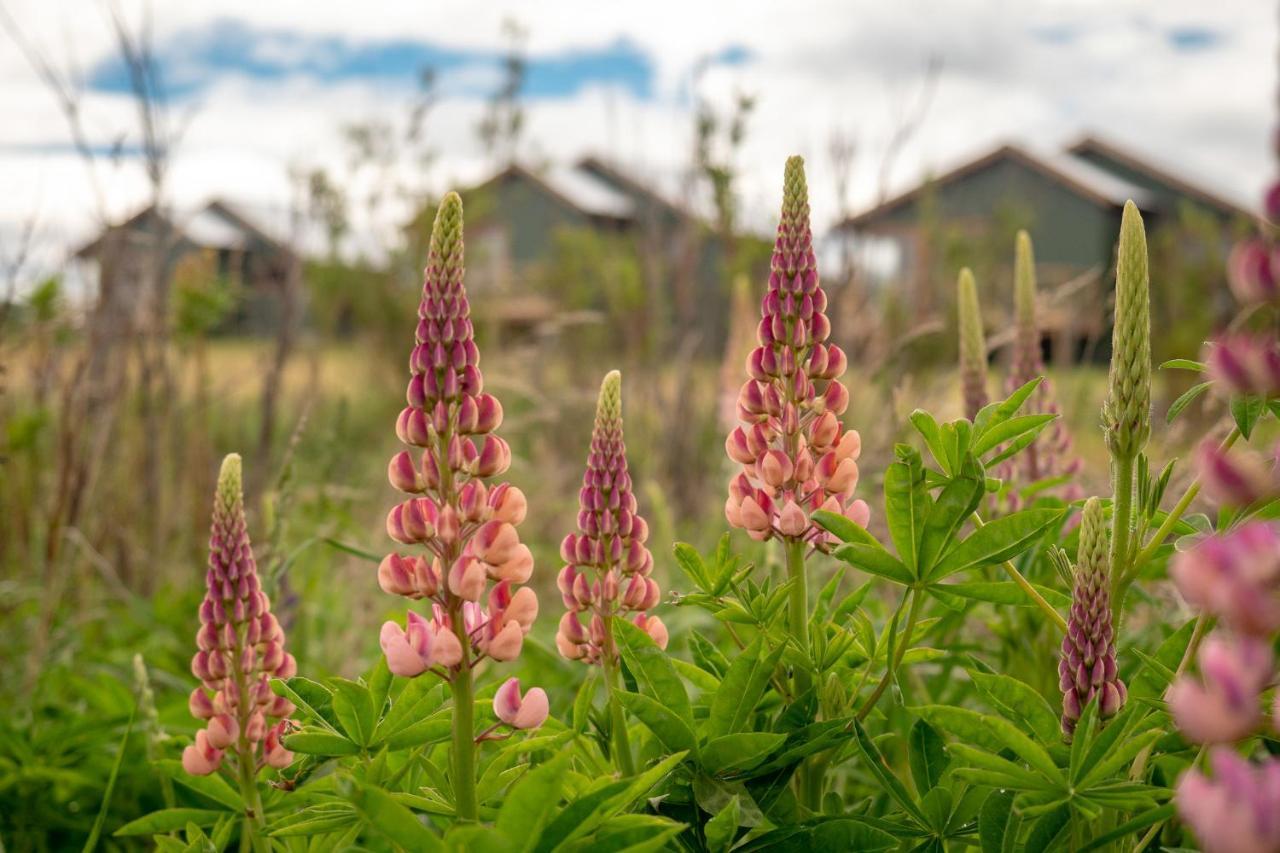 Garden Domes Puerto Natales Exterior foto