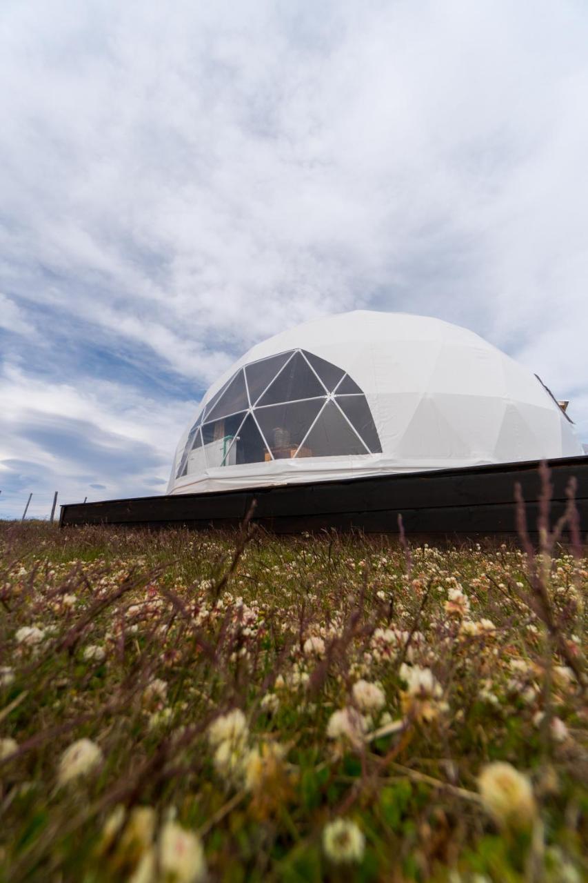 Garden Domes Puerto Natales Exterior foto